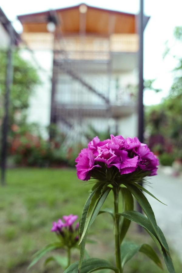 Гостевой Дом Летний Сад Sochumi Exterior foto