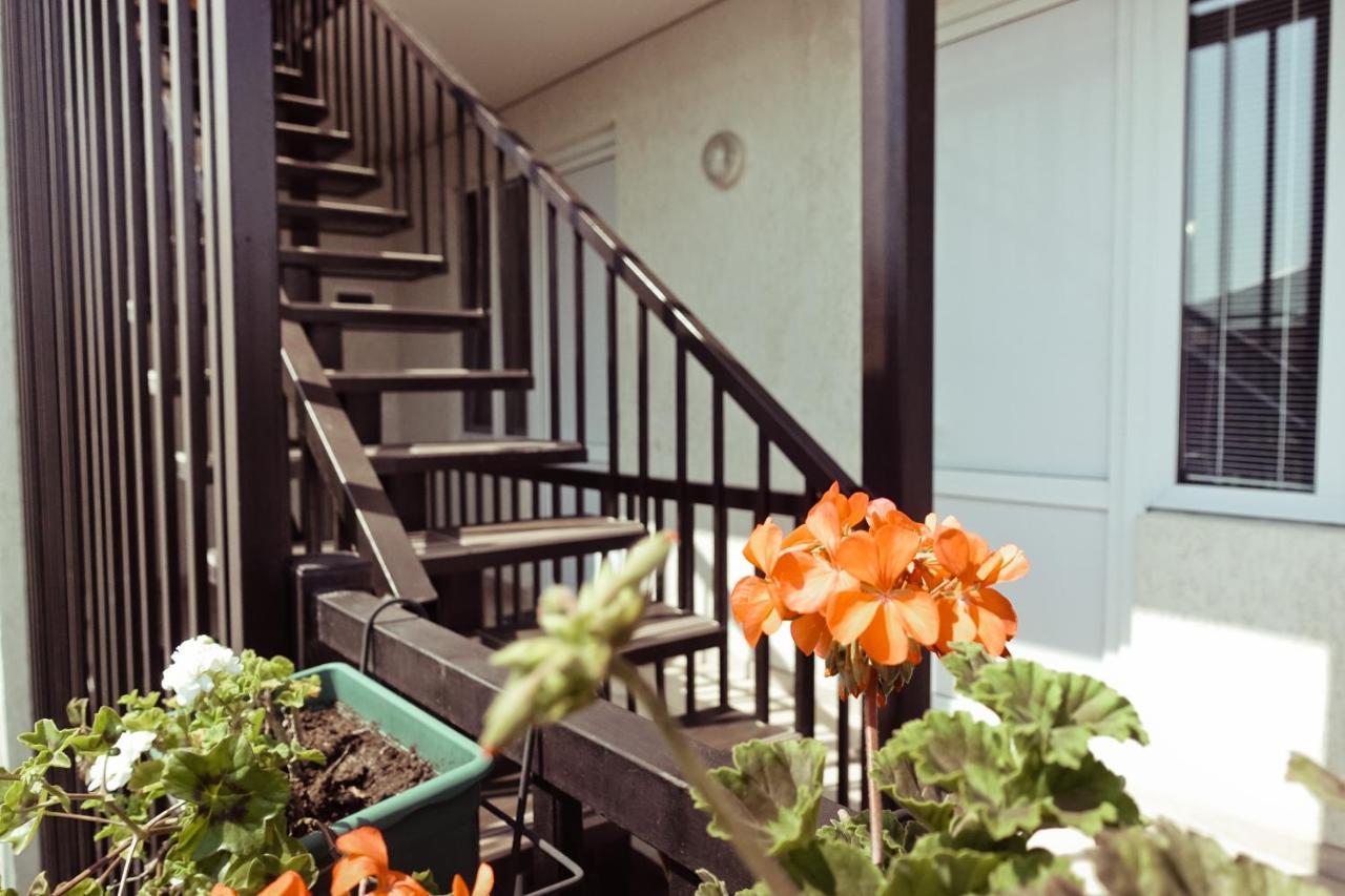 Гостевой Дом Летний Сад Sochumi Exterior foto